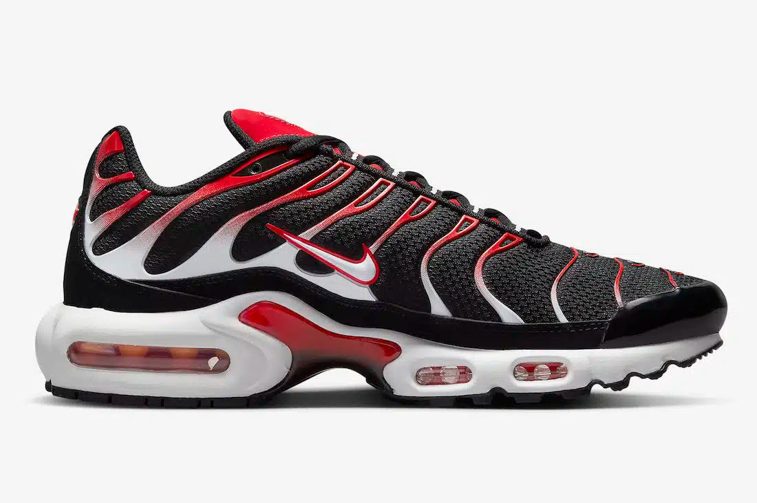 Nike Air Max Plus TN (Tuned Air)