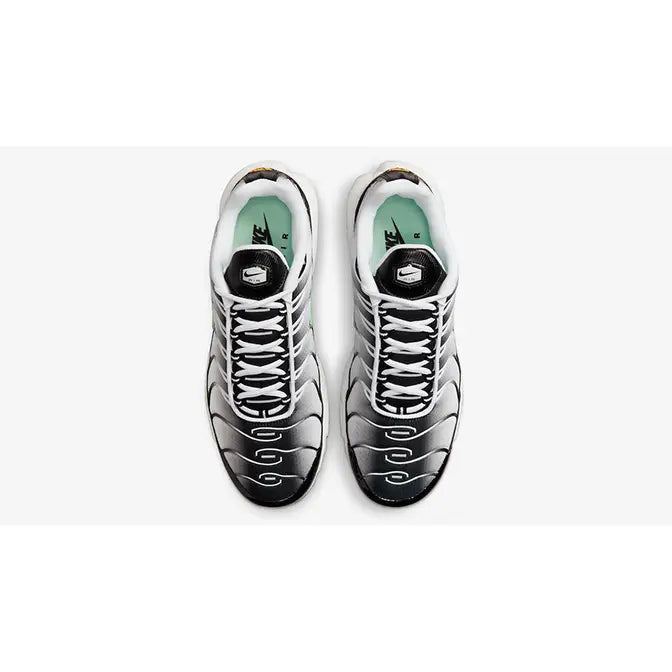 Nike Air Max Plus TN (Tuned Air)