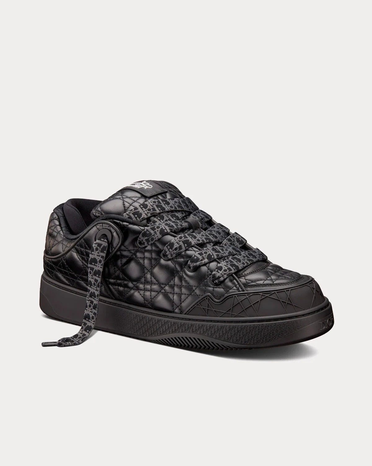 Dior B9S Skater ERL