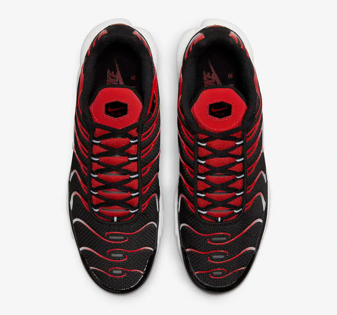 Nike Air Max Plus TN (Tuned Air)