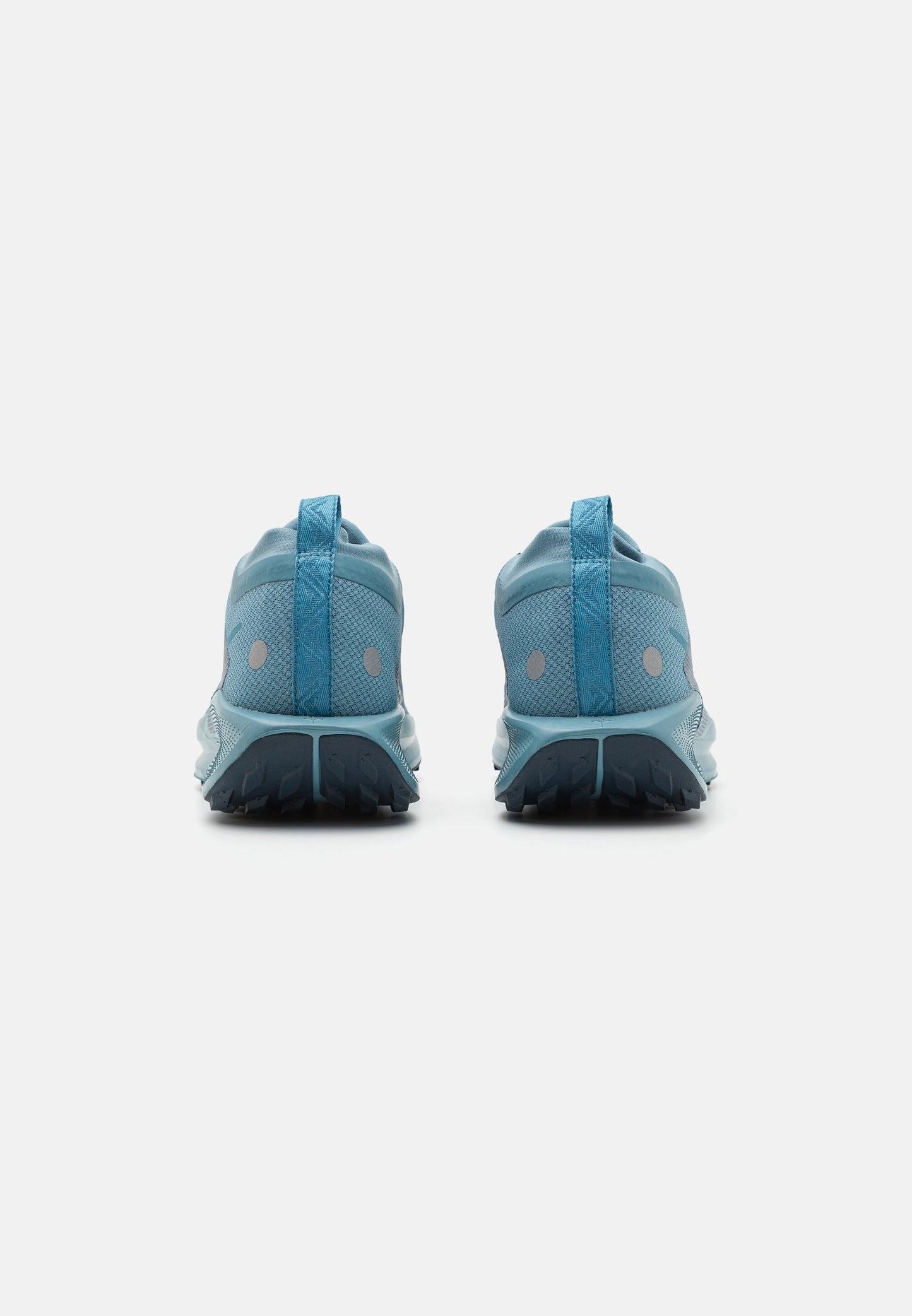 Nike Pegasus Trail 5 Gore-Tex