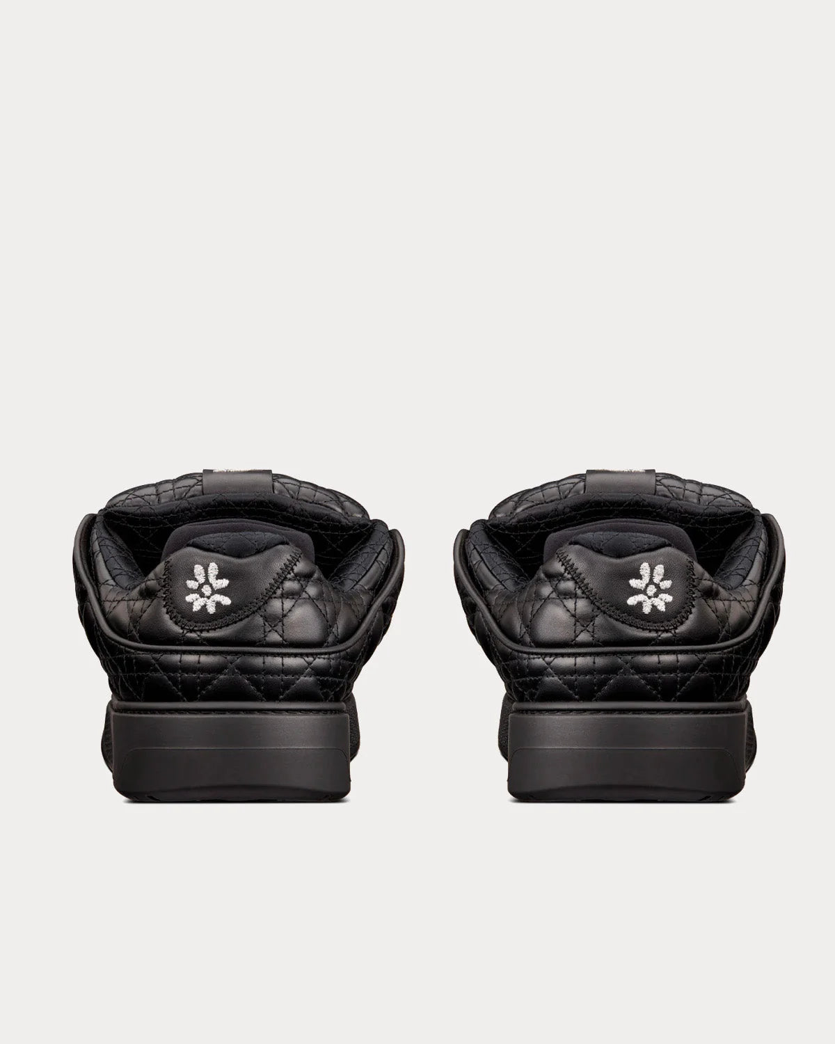 Dior B9S Skater ERL