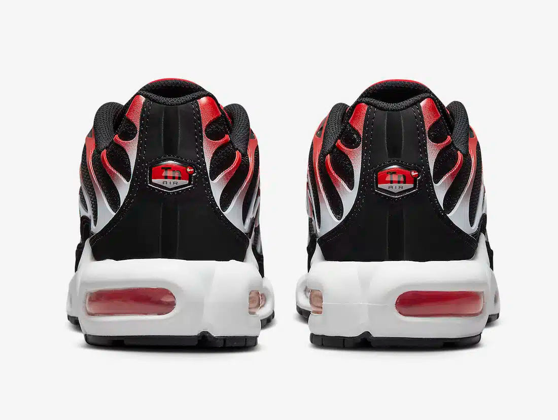 Nike Air Max Plus TN (Tuned Air)
