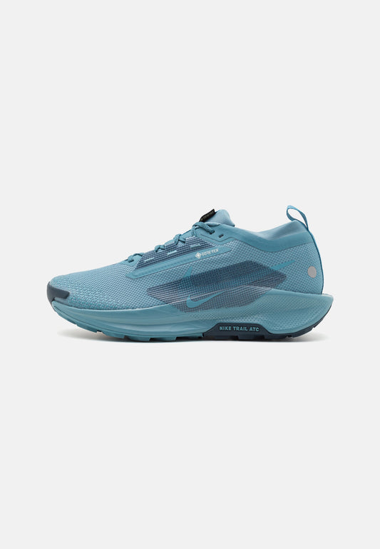 Nike Pegasus Trail 5 Gore-Tex