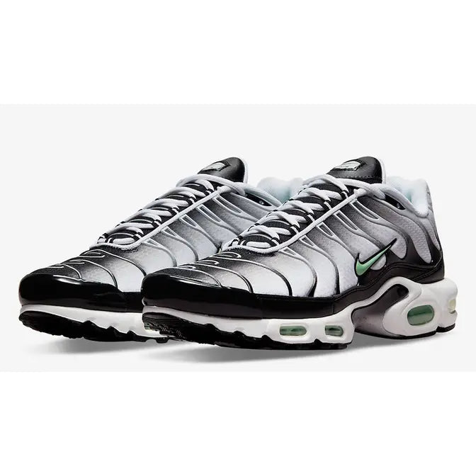Nike Air Max Plus TN (Tuned Air)