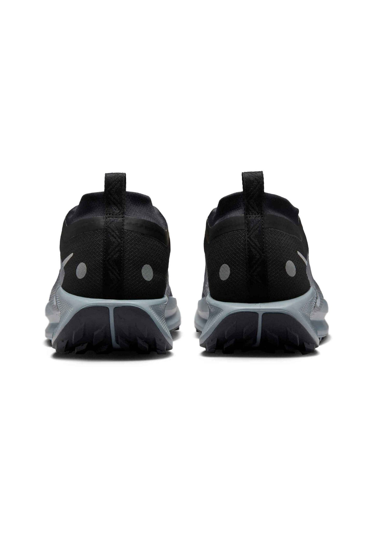 Nike Pegasus Trail 5 Gore-Tex