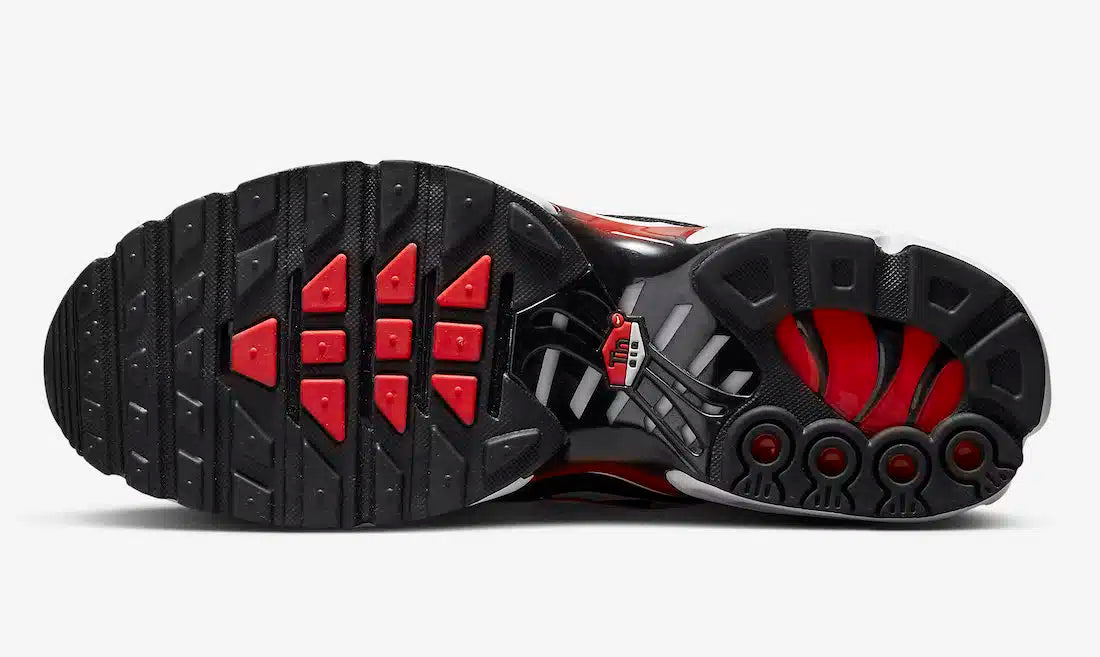 Nike Air Max Plus TN (Tuned Air)