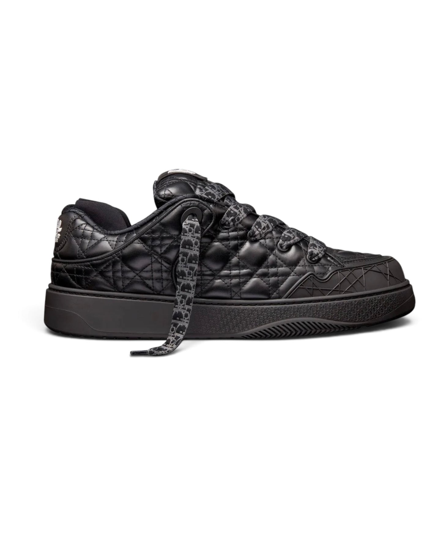 Dior B9S Skater ERL