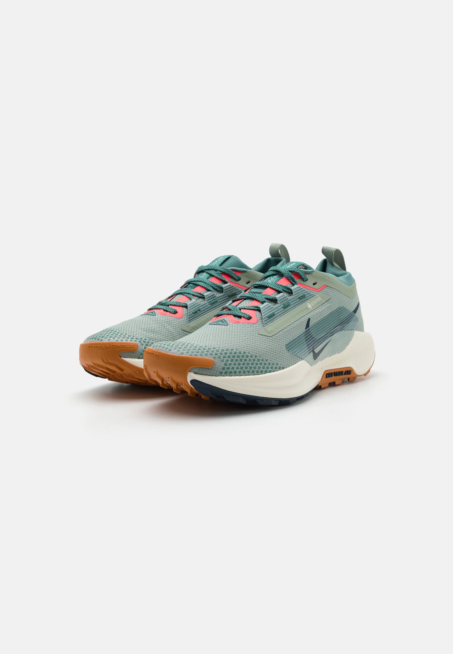 Nike PEGASUS Trail 5 Gore-Tex – Chaussure de trail imperméable